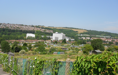 Ofah natal rd allotment