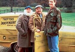 Ofah trotters van