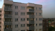 Ofah trotters on balcony in rock and chips