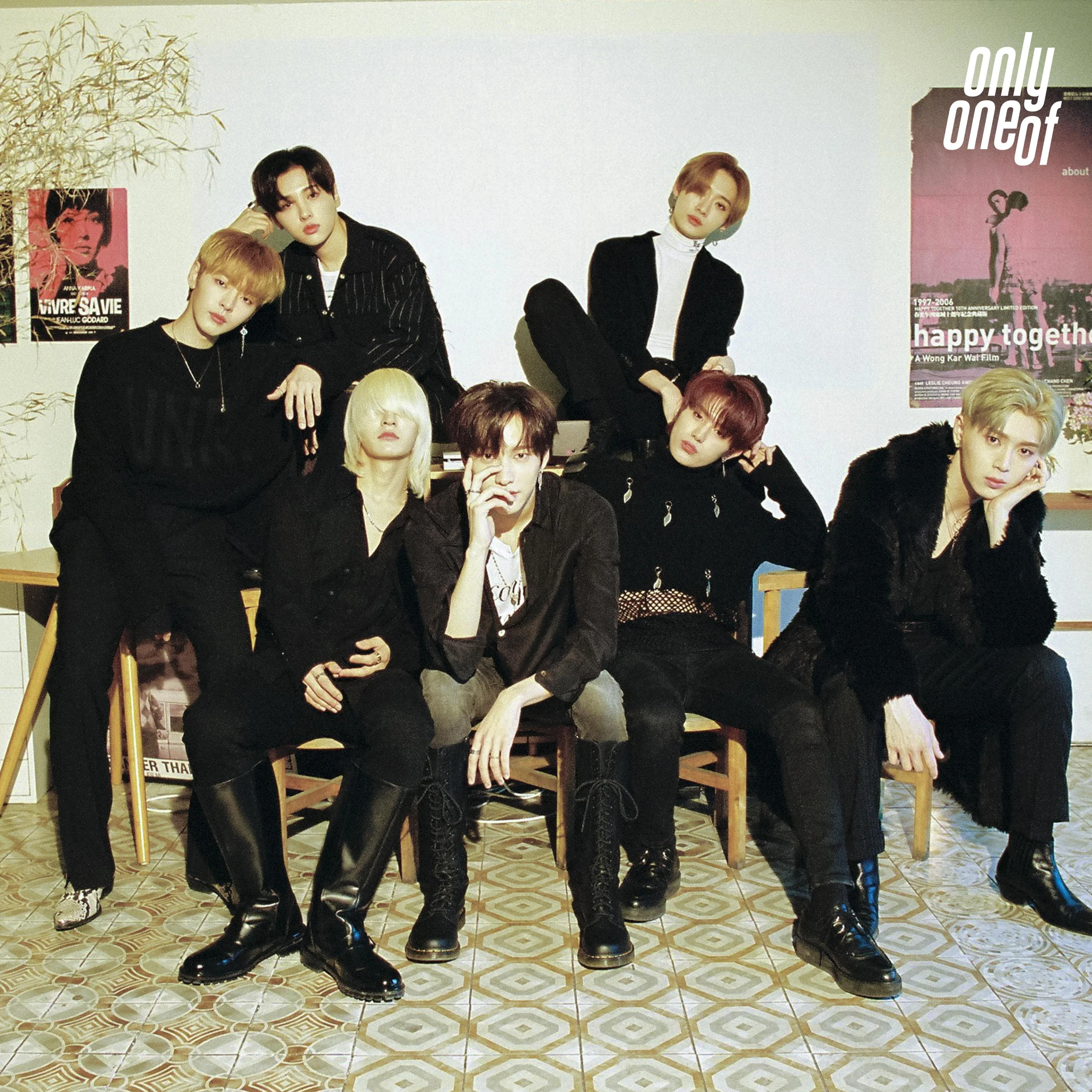 dOra maar | OnlyOneOf Wiki | Fandom