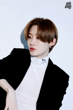 K-POP・アジア onlyoneof  unknown art pics 2.0 OnlyOneOf unknown art pics 2.0 届いたよ って話 | 音楽
