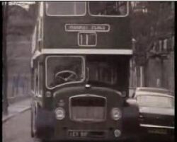 Bus Company.jpg