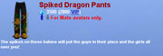 SpikedDragonPants