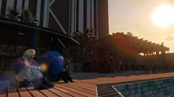 Another deep conversation (while in disguise) with Brad by the Limey's pool