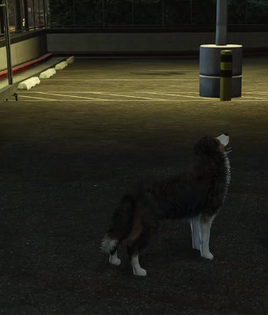 Doggo