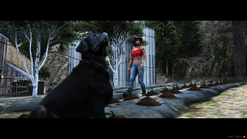 Brutus and Etta farming