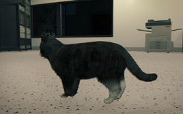 Boots the cat