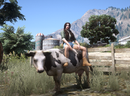 Addi and Cow