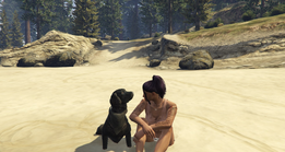 Etta and Brutus on the beach