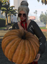 Kiki and Her Emotional Support Pumpkin