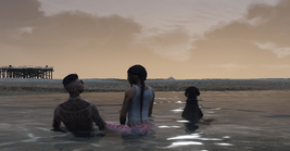 Gavrilson, Etta, and Brutus