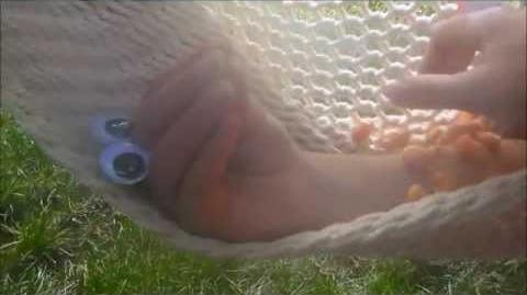 Another Oobi Vacation - Hammock Harassment