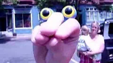 Oobi in Brookline