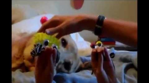 Oobi Babies - The Crowning Moment