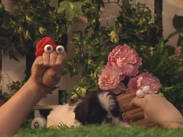 Oobi-Kako's-Puppy-Kako-comes-back