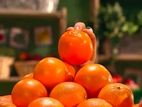 Oobi-Shopping-putting-back-the-oranges.png (668 KB)