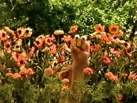 Oobi Nature 6.jpg (81 KB) Uma hugging Grampu