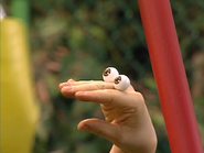 Oobi watching Uma