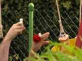 Uma Swing!/Transcript