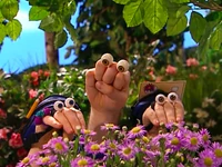 Oobi-Nature-Walk-flower-patch.png (866 KB) Finding a flower patch
