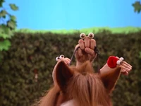 Oobi-Petting-Zoo-riding-the-horse.png (541 KB) Riding together