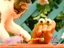 Oobi-shorts-Cat-Kako-close-up