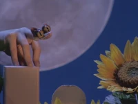 Oobi-Camp-Out-Kitty.png (476 KB) The cat meowing