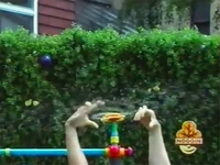 Oobi-shorts-On-and-Off-Oobi-and-Kako.jpg (72 KB) Oobi and Kako outside