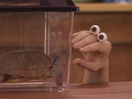 Oobi meeting his new pet