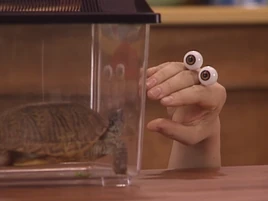 Oobi-Playdate-Oobi-meeting-his-new-pet