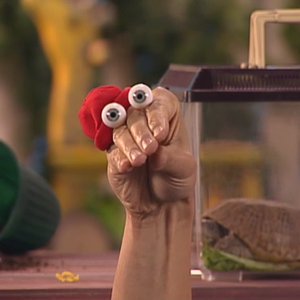 Kako Oobi Wiki Fandom