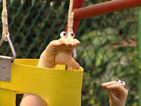 Uma watching Oobi on the swing