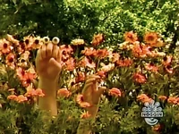 Oobi Nature 5.jpg (81 KB) Enjoying nature