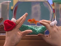 Oobi-Petting-Zoo-goldfish.png (562 KB) ...a goldfish,...
