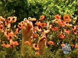 Oobi-shorts-Nature-watching