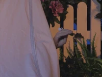 Oobi-Camp-Out-Oobi-looking-around.png (574 KB) Oobi looking around