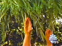 Oobi-shorts-Pretend-Wind-falling.jpg (64 KB) Falling