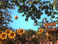 Oobi-Play-Ball-home-run.png (877 KB) A home run!