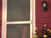 Oobi-Garden-Day-Grampu-comes-back.png (409 KB) Grampu comes back outside