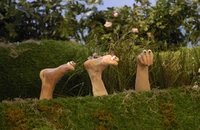 Oobi-Noggin-photo-foot-friends-wide.png (1.36 MB)