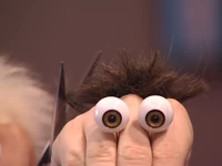 Oobi-Haircut-trim-close-up.png (384 KB) Oobi's trim