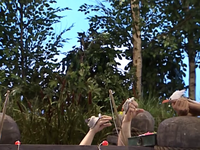 Oobi-Fishing-seagull.png (831 KB)