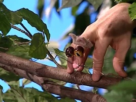 Oobi-Superheroes-Kitty