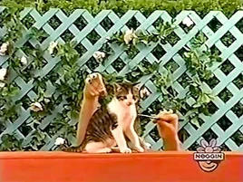 Oobi-shorts-Cat-opening