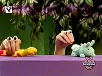 Oobi takes out his lizard