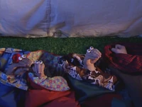 Oobi-Camp-Out-Grampu-snoring.png (636 KB) Grampu snoring