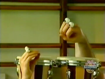 Bongo store drums kmart