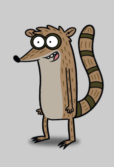 rigby raccoon face