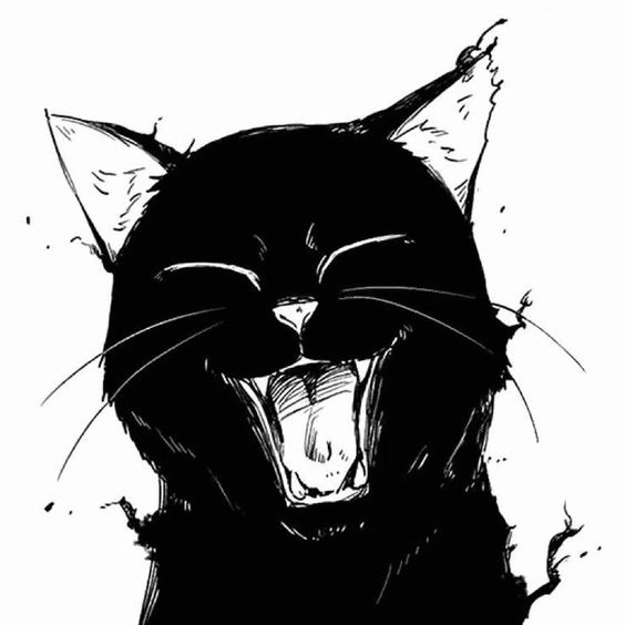 Sherlock One Piece Eclipse Wiki Fandom