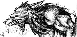 Werewolf Sketch by Kenpudiosaki.jpg
